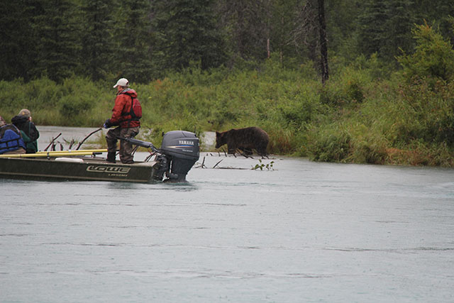 Alaska Fishing Lodge | 2011 Fishing Reports Slideshow