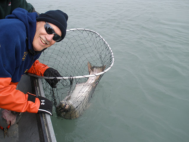 Alaska Fishing Lodge | 2011 Fishing Reports Slideshow