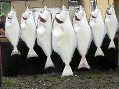 Alaska Halibut Fishing