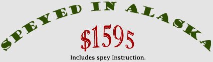 Speyed in Alaska Fishing Package - $1595